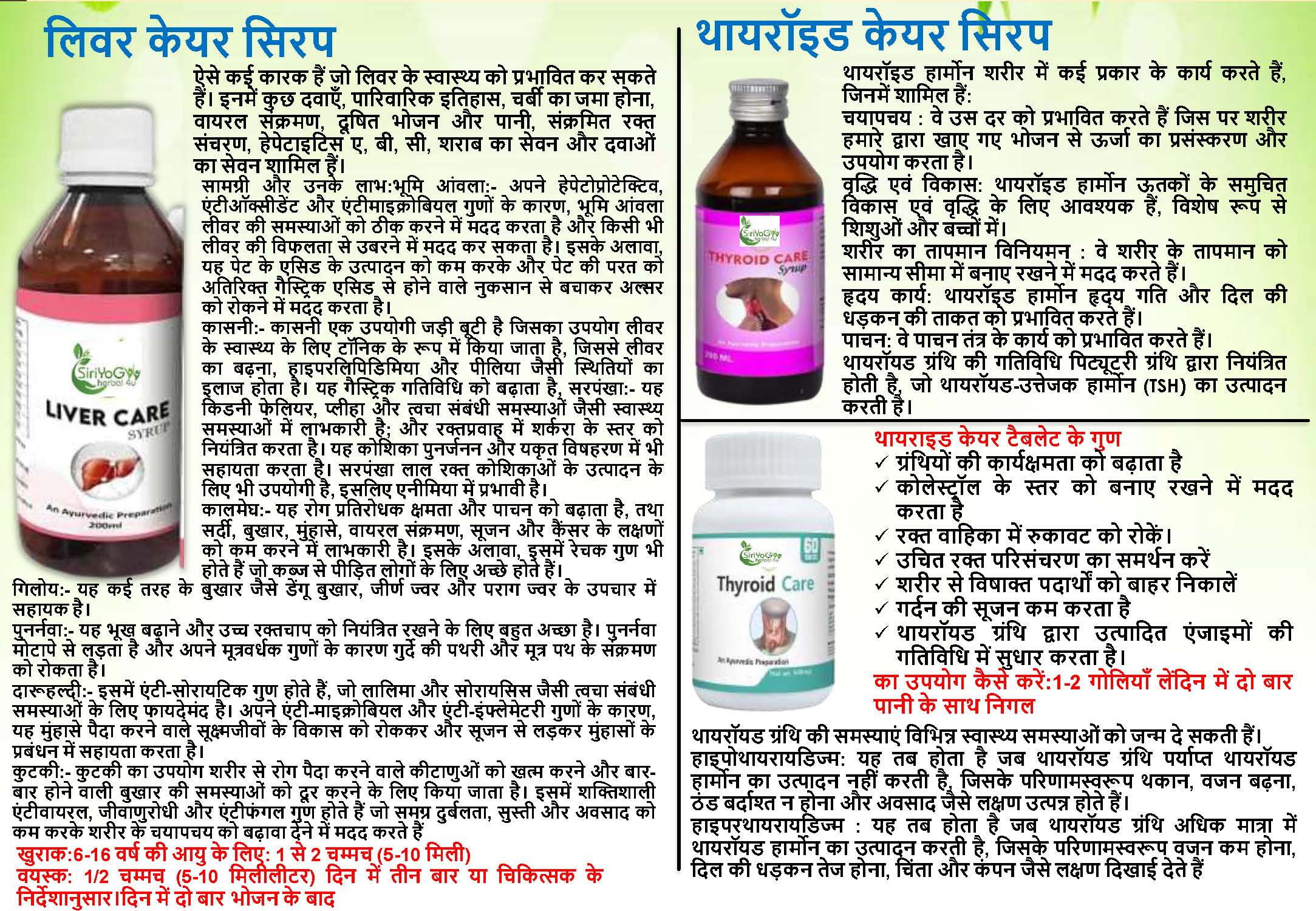 SIRIYOG4U BUSINESS PLAN