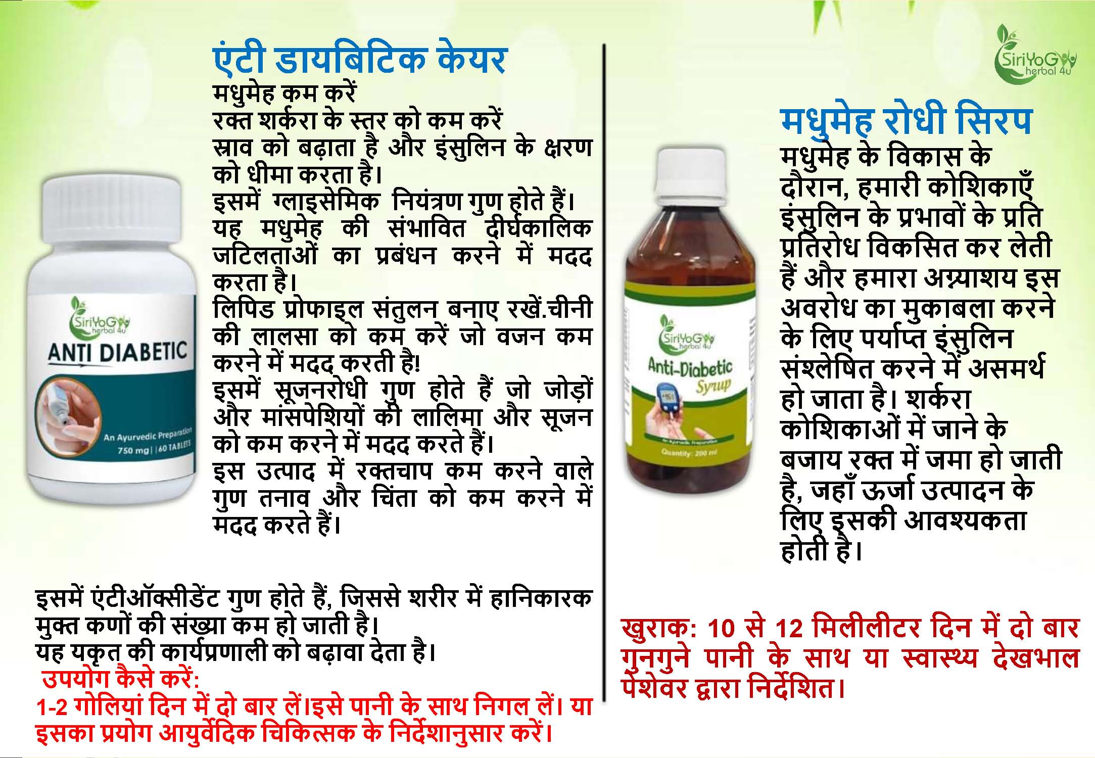 SIRIYOG4U BUSINESS PLAN
