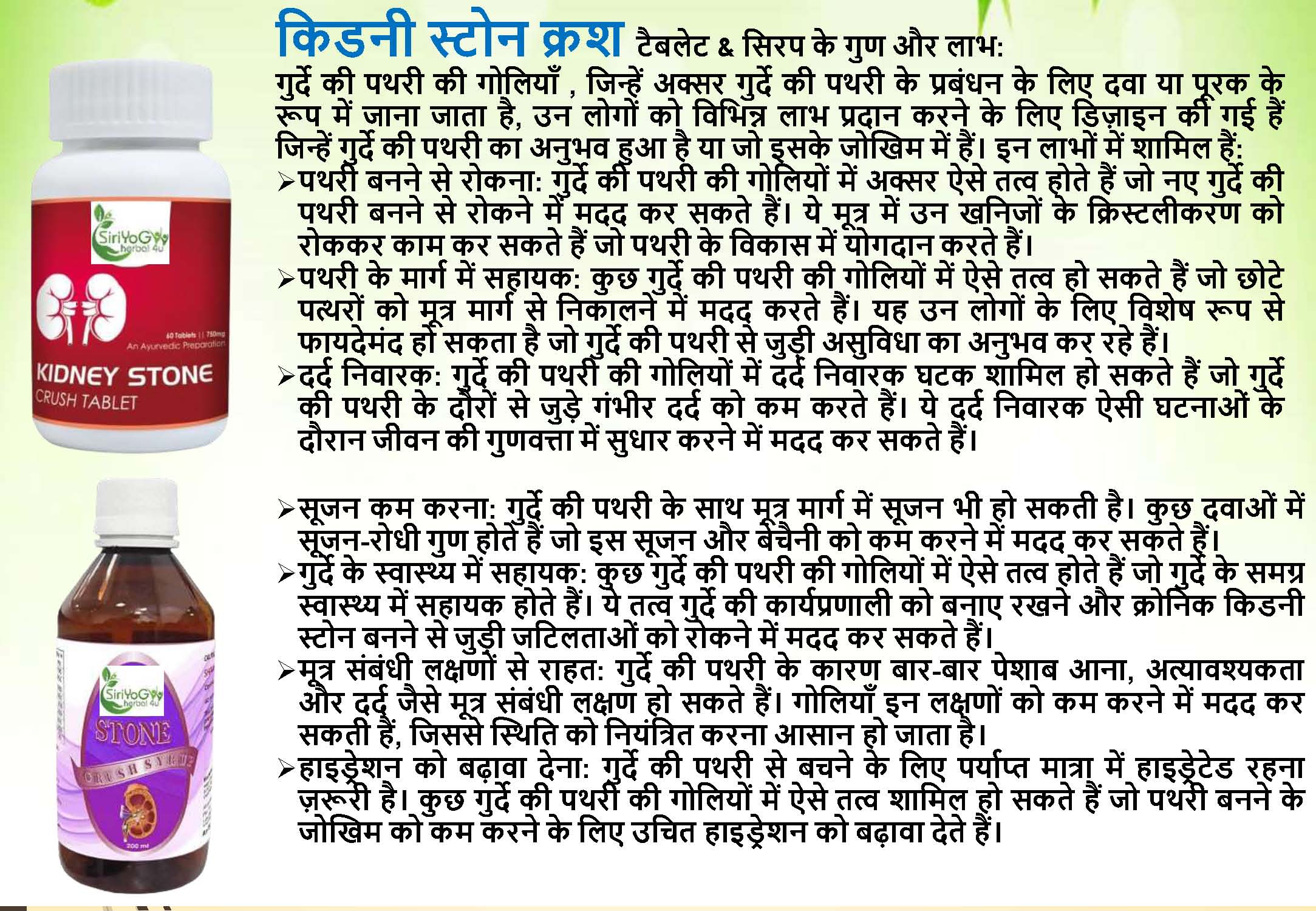 SIRIYOG4U BUSINESS PLAN