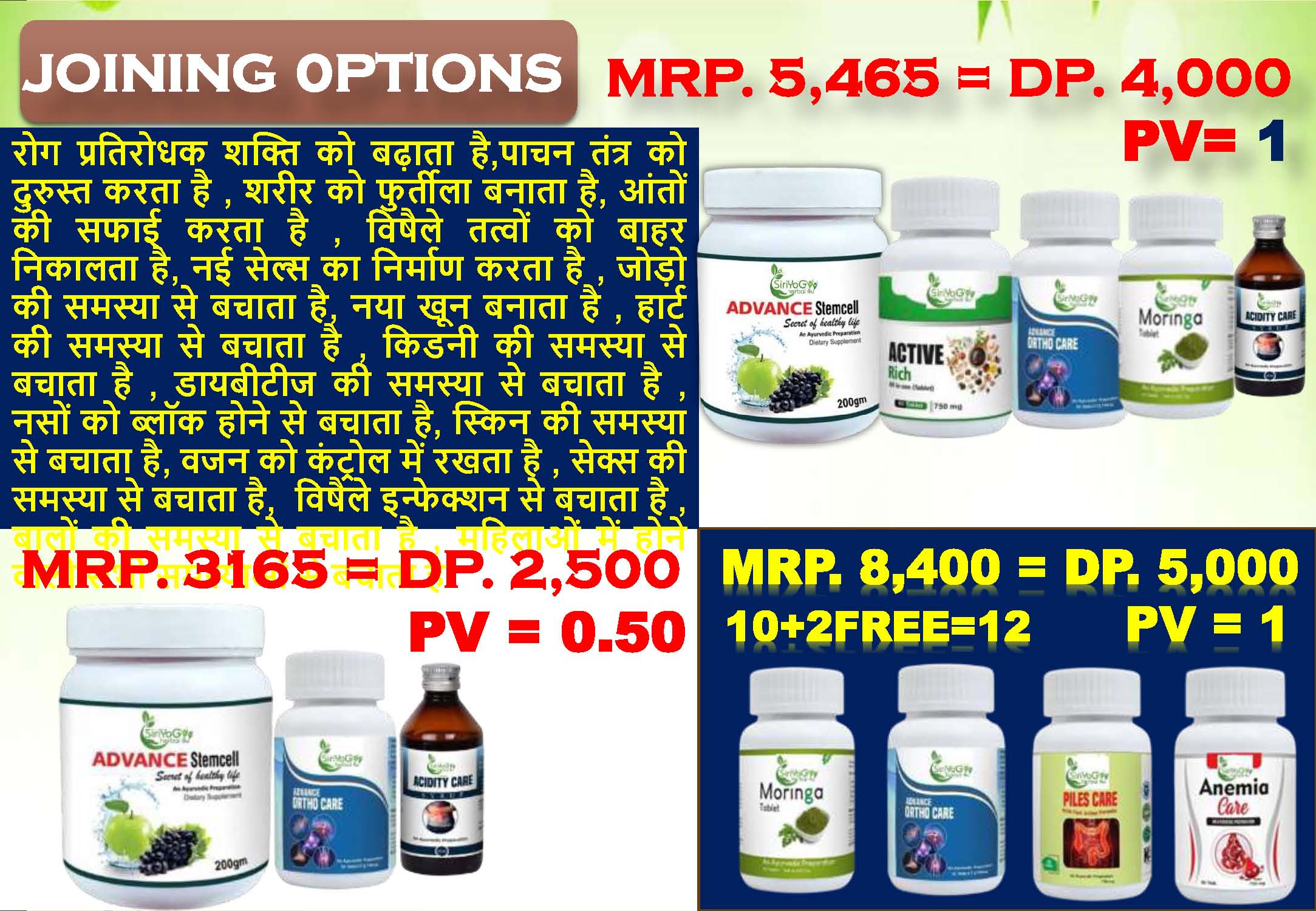SIRIYOG4U BUSINESS PLAN